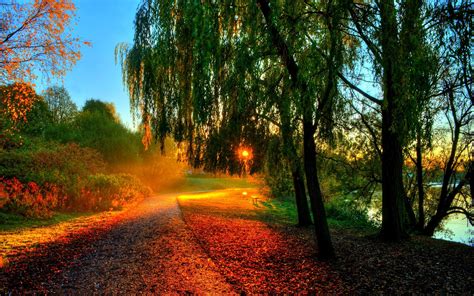 Beautiful Autumn Scenery Morning Sunrise Trees Leaves Path