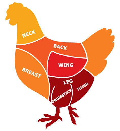 Learn the parts of a Chicken - Aggelakis Poultry Products