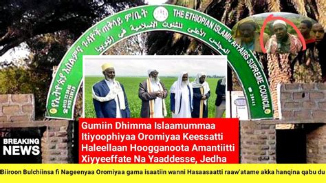 Oduu Voa Afaan Oromoo Aug 272020 Youtube