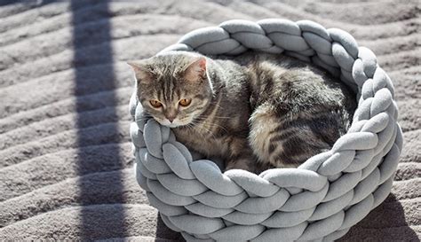 Cats love the wonderfull silky feel of this bed to sleep and/or cuddle in. Ohhio Braid Knit Cat Bed » Gadget Flow