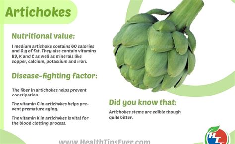 Artichoke Health Benefits With Infographics Health Tips Ever Magazine