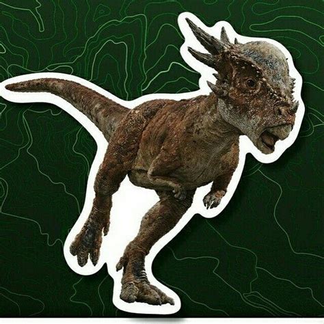 Jurassic World Fallen Kingdom Stygimoloch Dinossauros Festa Dinossauro Dinossauro