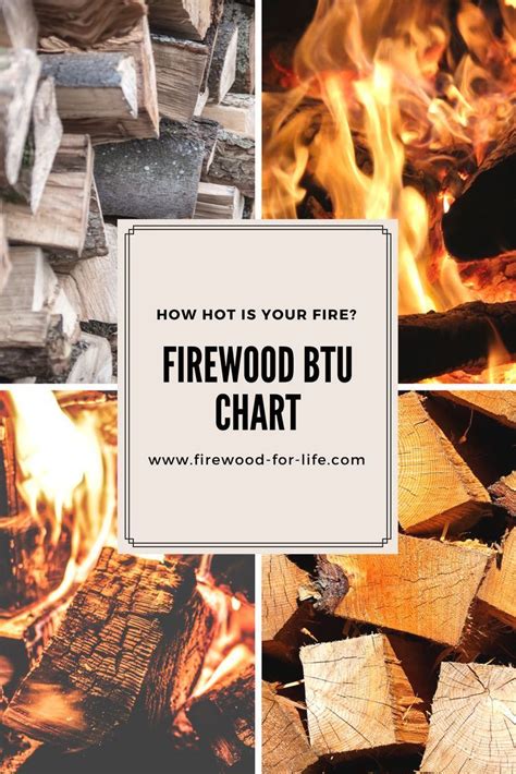 Best Firewood To Burn Chart Uk Elwanda Lemay