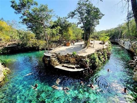 30 Best Cenotes Cancun Pro Guide To Plan Your Trip 2023