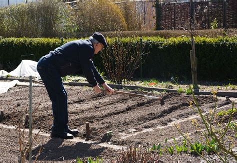 Kartoffeln lassen sich gut im garten und sogar im eimer oder kübel auf dem balkon selber pflanzen. Kartoffelanbau im eigenen Garten