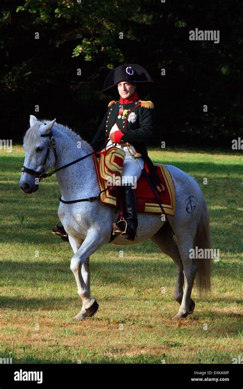 Napoleon Bonaparte On His Horse