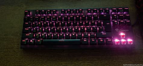 Tastatura Mecanică Genesis Thor 300 Tkl Rgb Adrianbolocanro