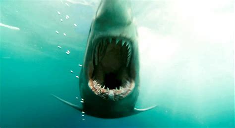 Shark Night 3d Trailer Filmofilia