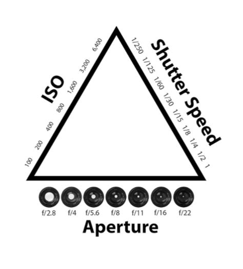 Photographers Guide To Iso Aperture Shutter Speed Unscripted App