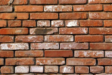 Not a good situation for an addition. Pared de ladrillo Stock de Foto gratis - Public Domain ...