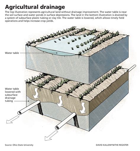 Farming 101 What You Need To Know About Tiling Runoff