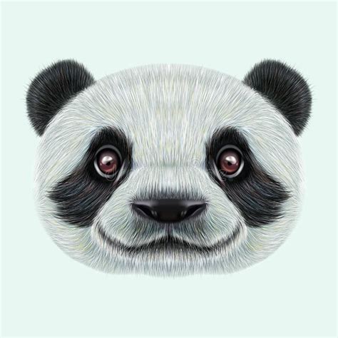 Tierisches Nettes Gesicht Des Pandas Hauptporträt Des Asiatischen Bären