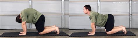 My name is scotch and i love spots. Effective Back and Shoulders Mobility Routine - Theo Simon