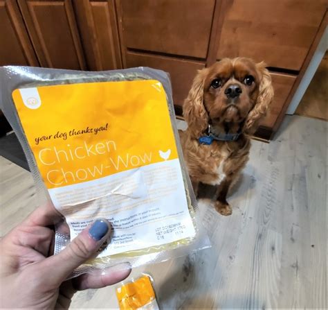 The meals are organic, natural, and free of antibiotics, as well as preservatives. Nom Nom Dog Food Review (Purchased &Tested) - We're All ...