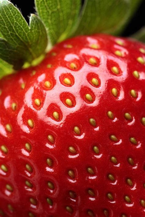 Fresh Strawberry Close Up By Johan Swanepoel Fruit Photography Close