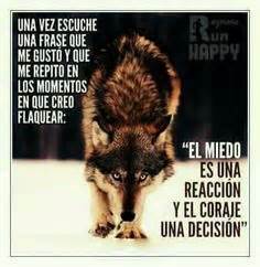 57 mejores imágenes de FRASES LOBO SOLITÁRIO... | One man wolf pack