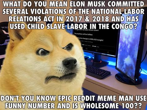 Don't believe anyone that tells you they will double what you send them or give you. Dogecoin Meme Elon - Dogecoin Surged 25 Thanks To A Simple Tweet From Elon Musk About The ...