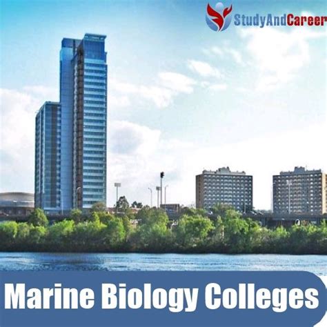 Top Marine Biology Colleges In Usa Marine Bio Diving
