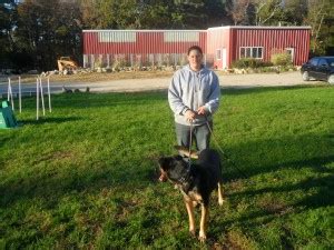 244 ads in adopt a pet in cape town. Professional Resident Dog Training Courses in Holbrook MA ...
