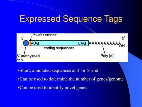 ppt serial analysis of gene expression powerpoint presentation free download id 3137900