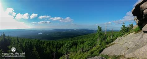 To The Top Of The Harz Mountains In Germany Sunset Hike On The Brocken