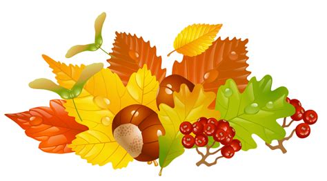 Autumn Leaf Color Clip Art Chestnut Tree Cliparts Png Download 1246