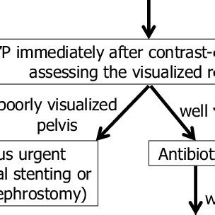 Figure The Treatment Algorithm For Urosepsis Associated With Urinary Download Scientific