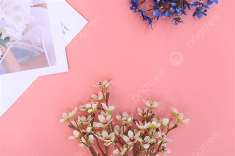 Floral Magazine Portfolio Background Image Pink Flowers Simple