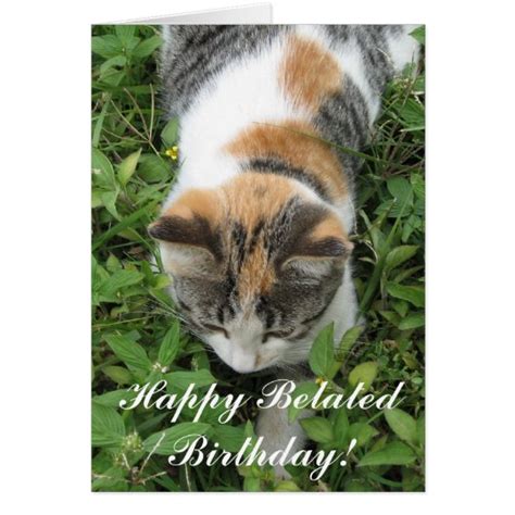 Happy Belated Birthday Calico Cat Greeting Card Zazzle