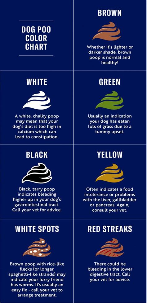 Dog Poop Colour Chart