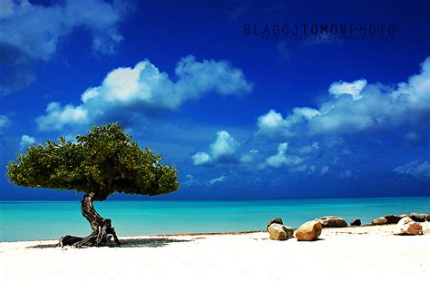 Aruba Paradise By Bazo2k On Deviantart