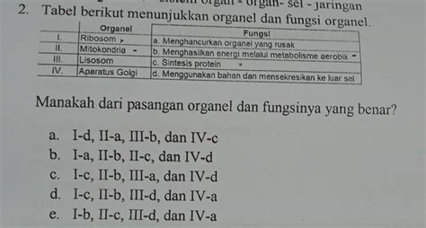Tabel Berikut Menunjukkan Organel Dan Fungsi Organel