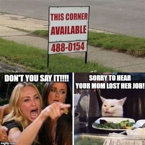 The Funniest Woman Yelling At Cat Memes Artofit