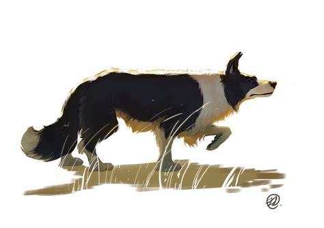 Dog Series Border Collie An Art Print By Elisa Kwon In 2020