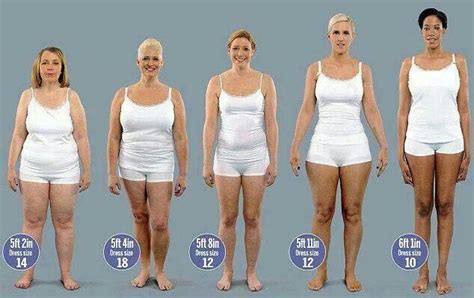 same weight different body height and shape fitness inspiration fitness healthy body