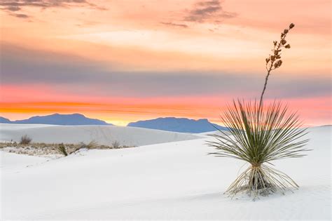 Maybe you would like to learn more about one of these? Sunset at White Sands National Monument | New Mexico ...