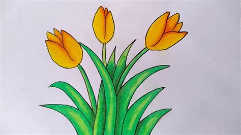 Cara Menggambar Dan Mewarnai Bunga Tulip Menggambar Bunga Yang Mudah