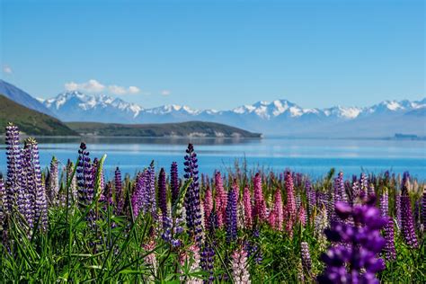 Are These The Most Beautiful Places In New Zealand