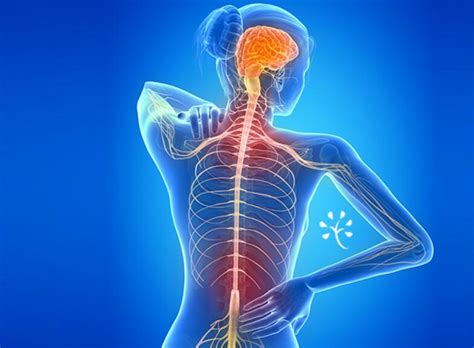 612 505 tykkäystä · 107 puhuu tästä. Vagus Nerve: Function, Disorder and How to Stimulate It