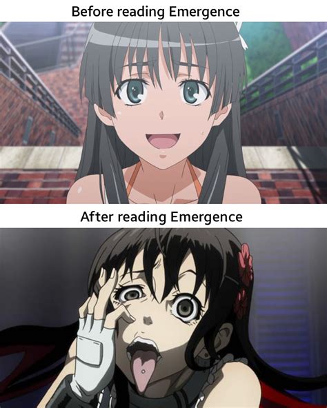 Before And After Reading Emergence By Shindol Emergence