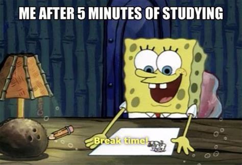 11 Memes Thatll Make You Feel Better About Not Studying For Your Finals