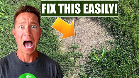 How To Easily Fix Brown Patches In Your Lawn Youtube