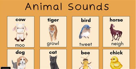 Animal Sounds Poster Etsy