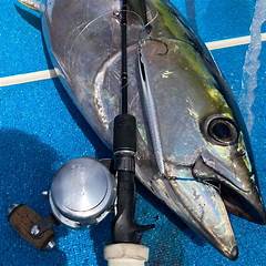 Gigging For Beginners A Comprehensive Guide To Craigslist Job Hunting