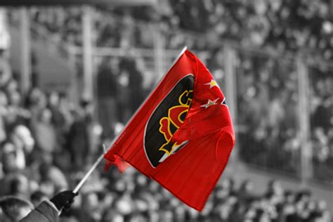 Après 7 ans sans finale toulouse revient avec le brennus. Stade Toulousain fond écran wallpaper
