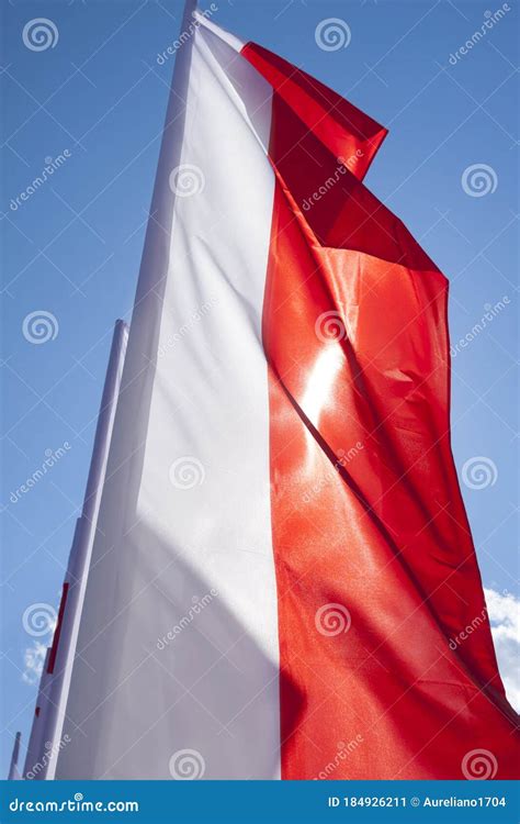 Multiple Flags Of Poland Flying Against The Sky Sunlit Stock Image