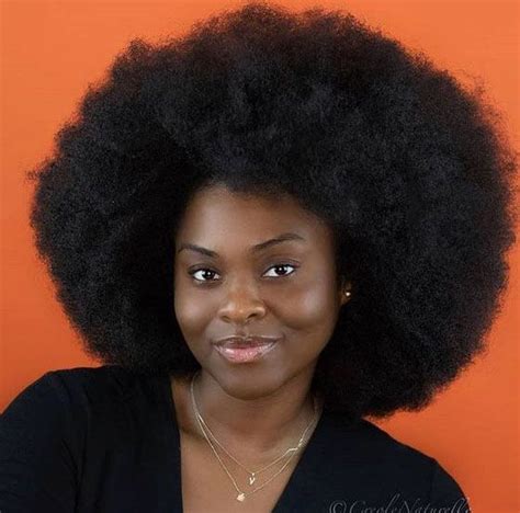 37 Gorgeous Natural Hairstyles For Black Women Quick Cute And Easy Cheveux Naturels Coiffure
