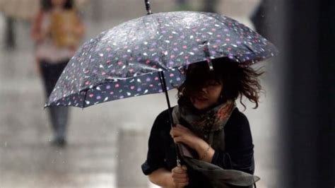 New Brunswick Weather Rainy And Windy To Start The Week Cbc News