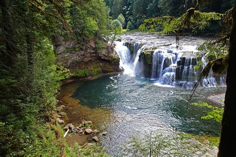 Most commonly, rivers flow on the surface of the land, but there are also many examples of underground rivers, where the flow is contained within chambers, caves, or caverns. North Fork Lewis River - Native Fish Society