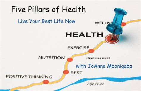5 Pillars Of Health Live Your Best Life Now